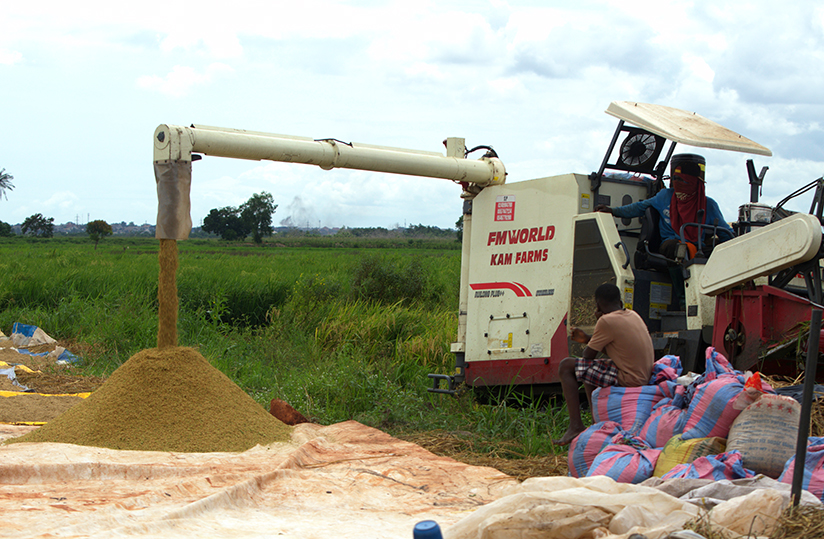 Recolte Riz La récolte du riz se modernise sur le périmètre de Djagblé
