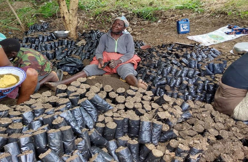 Mécanisme forêts et paysans : plus de 134 millions pour les OPFA