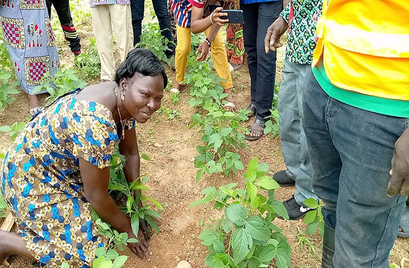 Fdit Modem Wifi U8 Adaptateur Réseau Signal Fort Sans Fil Large Zone De